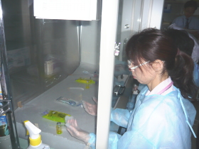 無菌製剤室で調剤中の写真